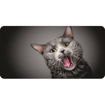 Grey Cat Photo License Plate