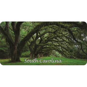 South Carolina Scenery Photo License Plate