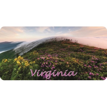 Virginia Scenery Photo License Plate