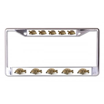 Tortoise Chrome License Plate Frame