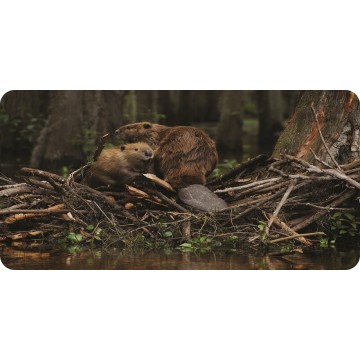 Beavers #1 Photo License Plate
