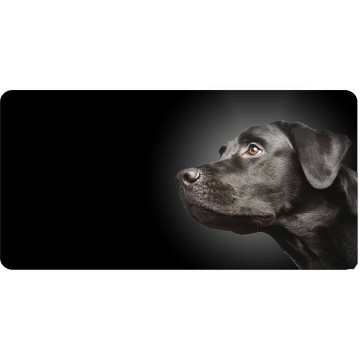 Black Lab Dog On Black Photo License Plate
