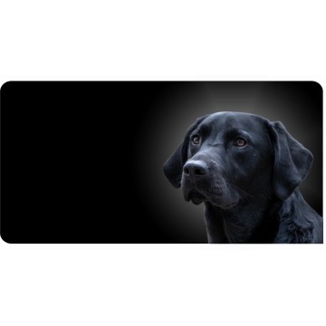 Black Lab Dog On Black #2 Photo License Plate