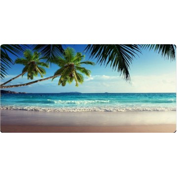 Emerald Ocean Scene Photo License Plate