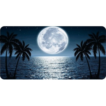 Moon Reflection Palm Tree Photo License Plate
