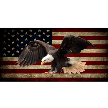 Eagle On Worn U.S. Flag Photo License Plate