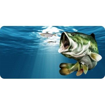 Largemouth Bass Photo License Plate