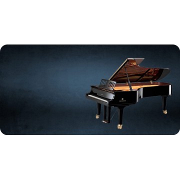 Piano Offset Photo License Plate