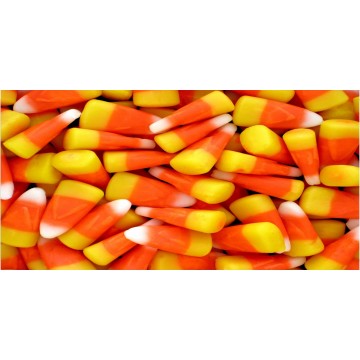 Candy Corn Plate Photo License Plate