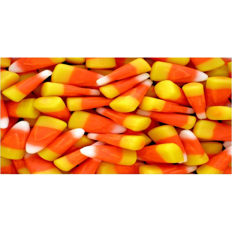 Candy Corn Plate Photo License Plate