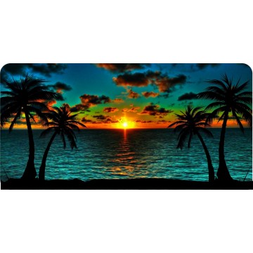 Beach Sunset Photo License Plate