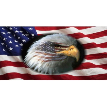U.S. Flag  Eagle Head With American Flag Photo License Plate