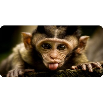 Baby Monkey Sticking Out Tongue Photo License Plate 