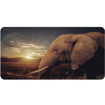 Elephant With Sunset Photo License Plate