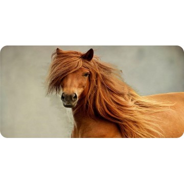Brown Horse Wavy Mane Photo License Plate