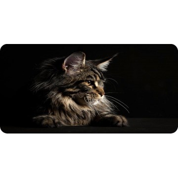Gray Cat Photo License Plate