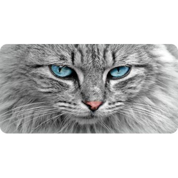 Gray Cat Face Blue Eyes Photo License Plate