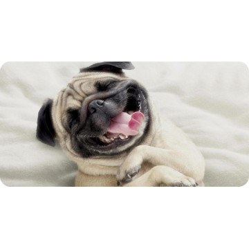 Cuddly Pug Photo License Plate