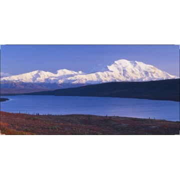 Mount Mckinley Photo License Plate