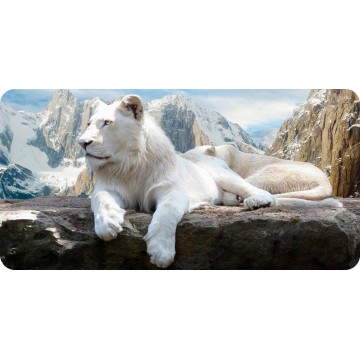 Lions Resting Mountain Scene Photo License Plate 