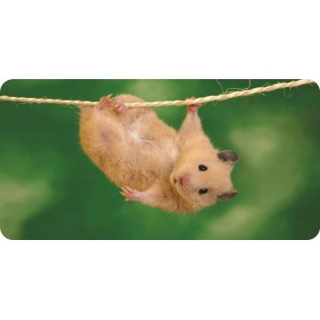 Hamster Photo License Plate