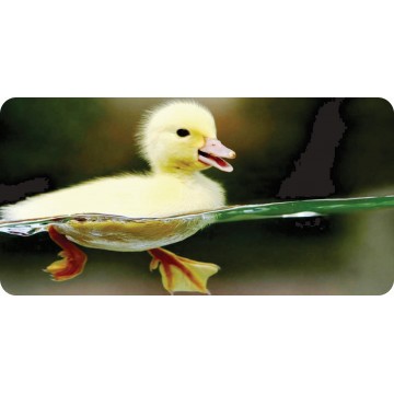 Baby Duck Photo License Plate