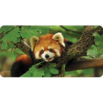 Red Panda Photo License Plate