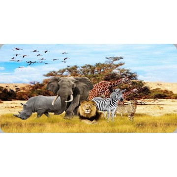 Safari Animals Photo License Plate