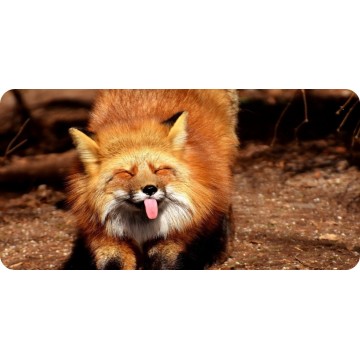 Red Fox Photo License Plate 