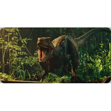 Dinosaur #3 Photo License Plate