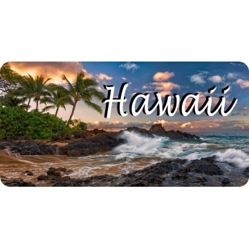 Hawaii Shoreline Scene Photo License Plate