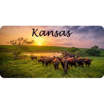 Kansas Cattle Grazing Scene Photo License Plate