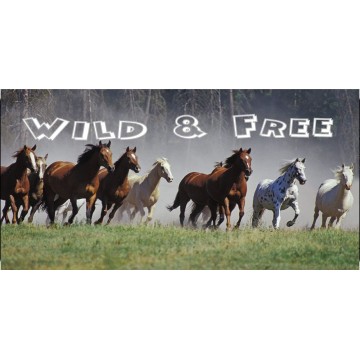 Horses Wild And Free Photo License Plate