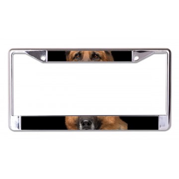 German Shephard Face Chrome License Plate Frame