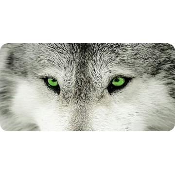 Wolf With Green Eyes Photo License Plate