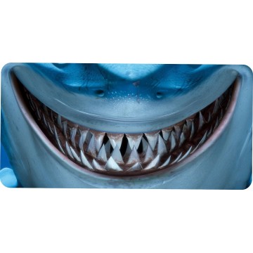 Shark Teeth Photo License Plate
