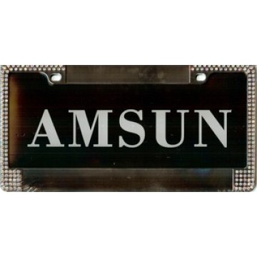 Chrome Panel Frame With Double Row Multicolored Diamonds 