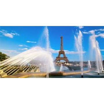 Eiffel Tower Photo License Plate