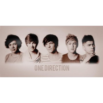 One Direction Photo License Plate 
