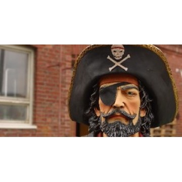 Pirate Photo License Plate