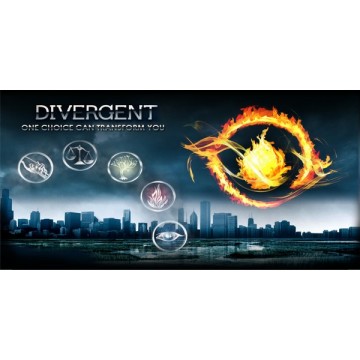 Divergent Photo License Plate 