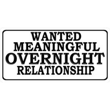 Wanted Meaningful Overnight Relationship Photo License Plate 