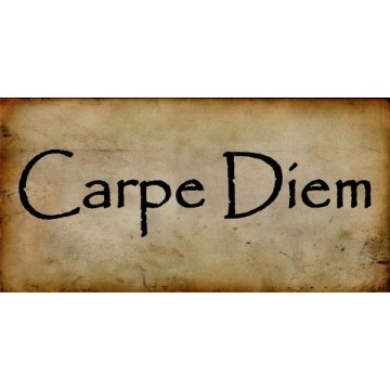 Carpe Diem Photo License Plate 