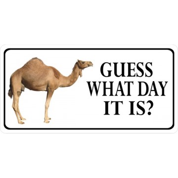 Guess What Day It Is? Photo License Plate