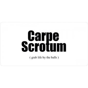 Carpe Scrotum Photo License Plate 