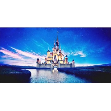 Cinderella Castle Photo License Plate 