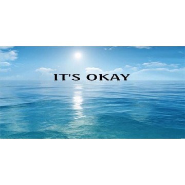 It's Okay Photo License Plate 