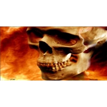 Realistic Skull On Flames Metal License Plate