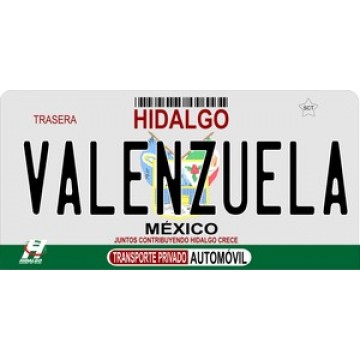 Mexico Hidalgo Photo License Plate 