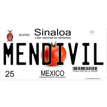 Mexico Sinaloa Photo License Plate 